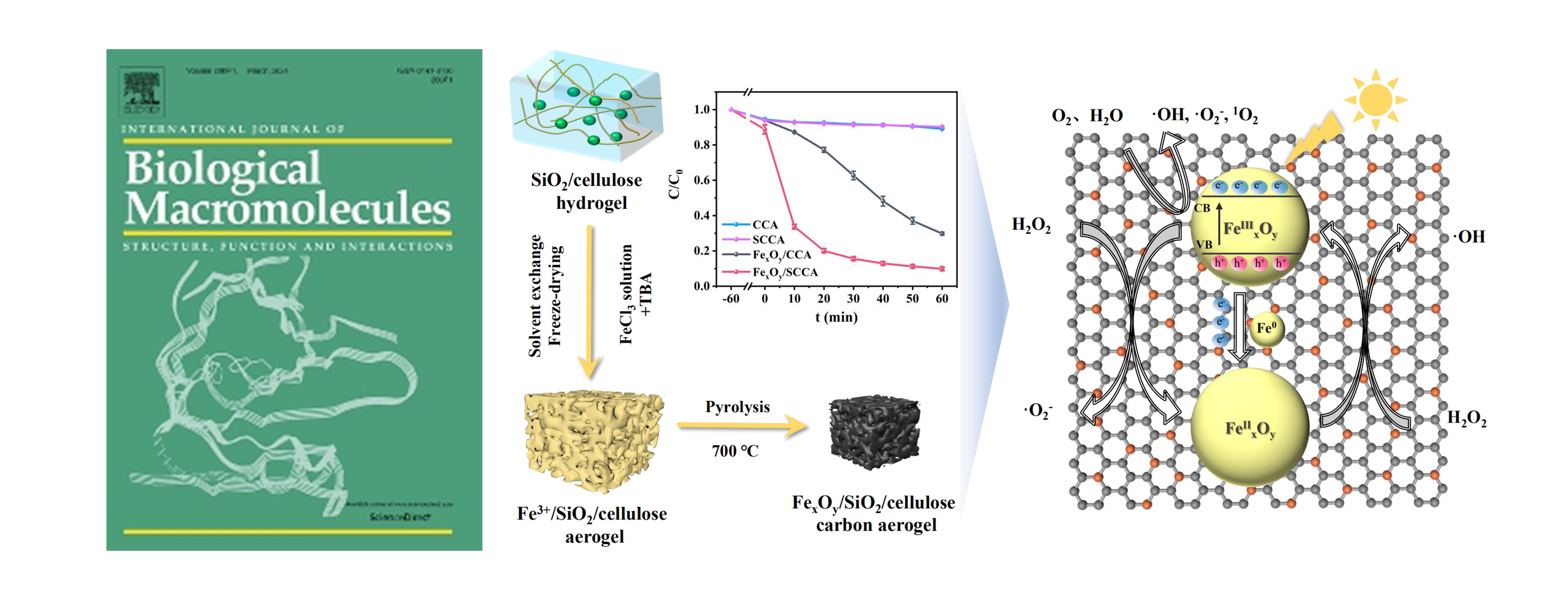 Hierarchically porous cellulose-based carbon aerogels with N-doped skeletons and encapsulated iron-based catalysts for efficient tetracycline catalytic degradation